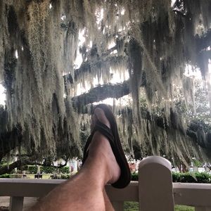 Meet your Posher, Brandon